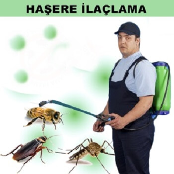 Pendik Böcek İlaçlama